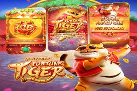 x1bet Boxing Sportsbook Ki Tafseelat